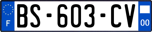 BS-603-CV