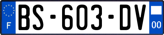 BS-603-DV