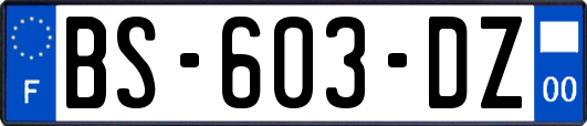 BS-603-DZ