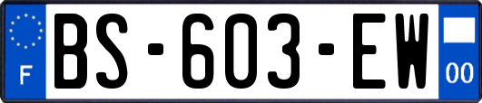 BS-603-EW