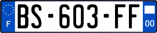 BS-603-FF