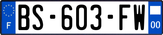 BS-603-FW