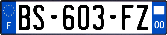 BS-603-FZ