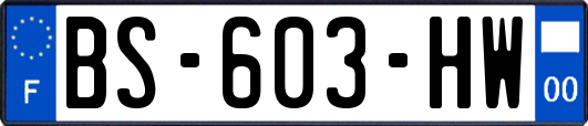 BS-603-HW