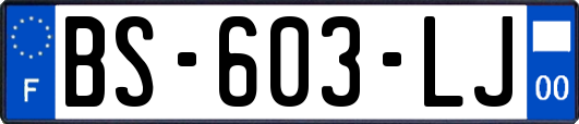 BS-603-LJ