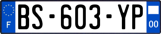 BS-603-YP
