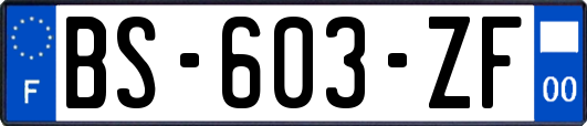 BS-603-ZF