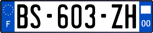 BS-603-ZH