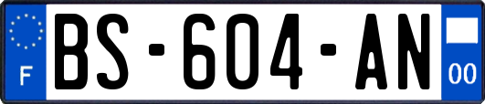 BS-604-AN