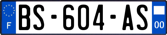 BS-604-AS