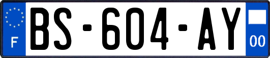 BS-604-AY