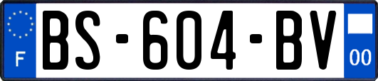 BS-604-BV