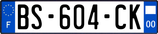 BS-604-CK