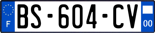 BS-604-CV