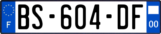 BS-604-DF