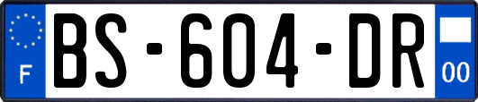 BS-604-DR