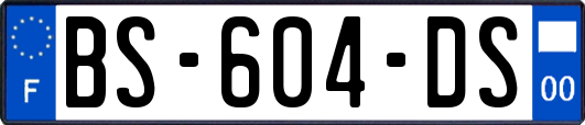 BS-604-DS