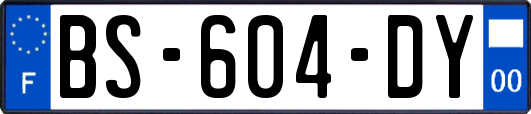 BS-604-DY