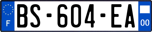 BS-604-EA