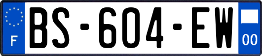 BS-604-EW