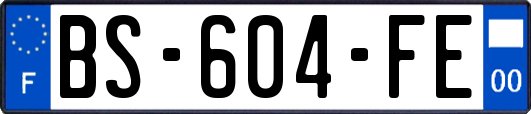 BS-604-FE