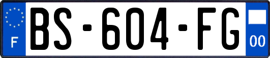 BS-604-FG