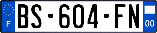 BS-604-FN
