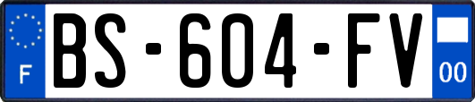 BS-604-FV