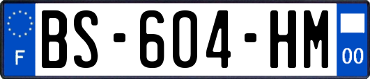 BS-604-HM