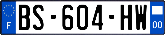 BS-604-HW