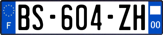 BS-604-ZH