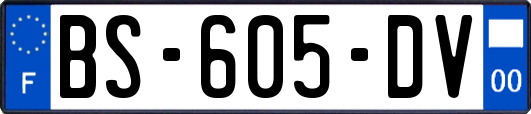 BS-605-DV