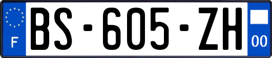 BS-605-ZH