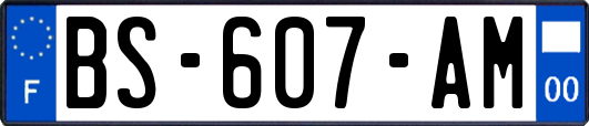 BS-607-AM