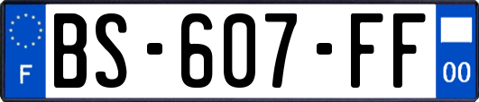 BS-607-FF