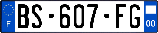 BS-607-FG