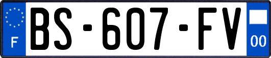 BS-607-FV