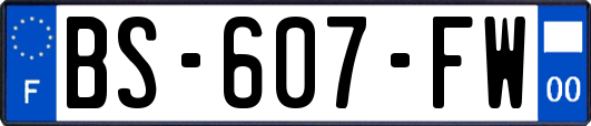 BS-607-FW