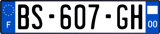 BS-607-GH