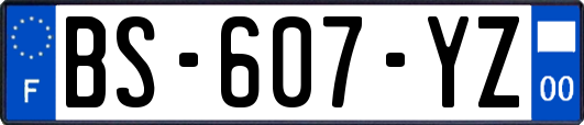 BS-607-YZ