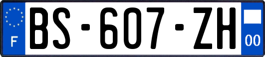 BS-607-ZH