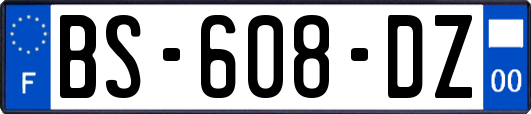 BS-608-DZ