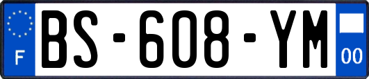 BS-608-YM