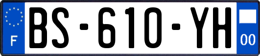 BS-610-YH