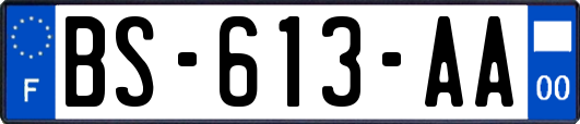 BS-613-AA