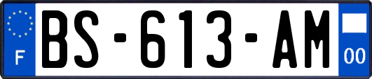 BS-613-AM