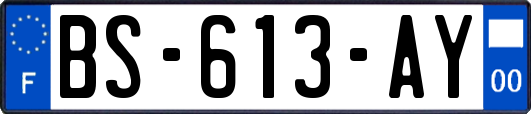 BS-613-AY