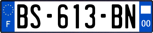 BS-613-BN