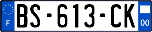 BS-613-CK