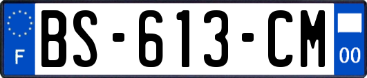 BS-613-CM